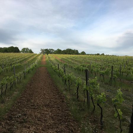 Fougueyrolles Chateau Masburel المظهر الخارجي الصورة