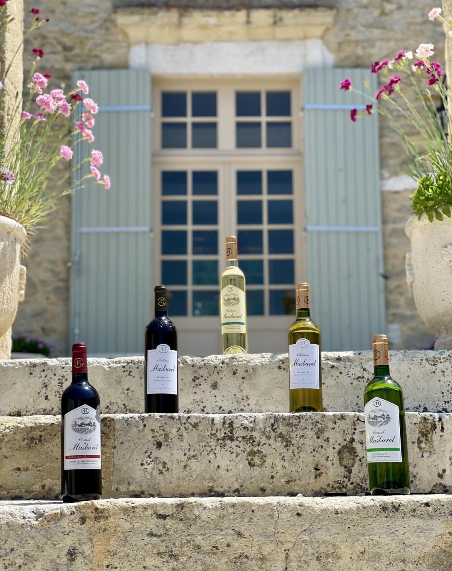 Fougueyrolles Chateau Masburel المظهر الخارجي الصورة
